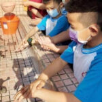 流感持續升溫「8成皆校園群聚」　新增8死！皆有慢性病史