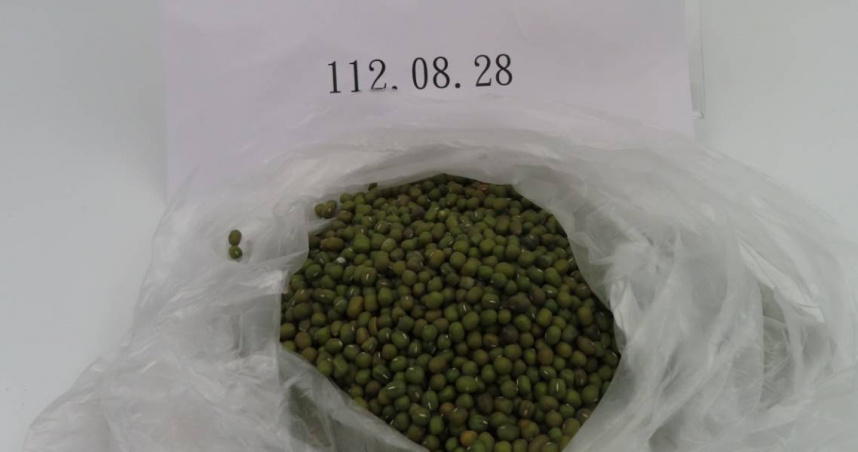 進口綠豆、黑芝麻驗出劇毒「磷化氫」160噸全退運　日本丁香魚也出包