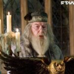 快訊/《哈利波特》鄧不利多離世!妻悲痛證實享壽82歲:他平靜地離去