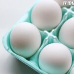 農業部：進口蛋待銷毀5330萬顆　估處理費3600萬元